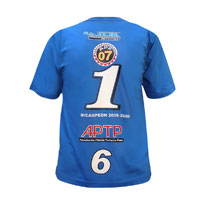Remera 100% algodón cardado